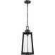 Bolling 1 Light 9.5 inch Powder Coated Black Outdoor Hanging Lantern